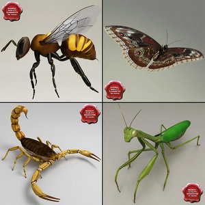 3d insects v2 model