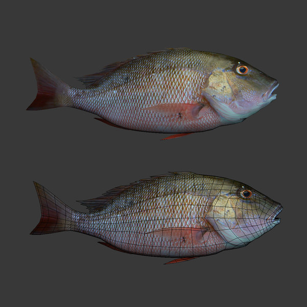 Fish 3d Model Gsm 3ds For Interior 3d Visualization Animals Collection