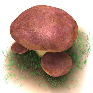 boletus mushroom 3d max
