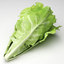 3d lettuce