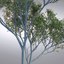 hi realistic series tree 3d model