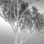 hi realistic series tree 3d model