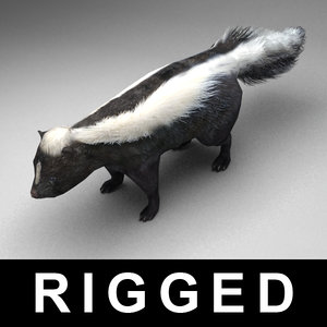 rigged skunk max