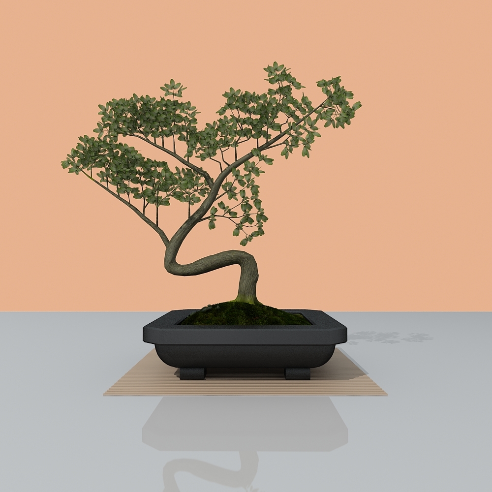 3d model bonsai tree