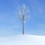 archmodels vol 100 winter trees 3d model