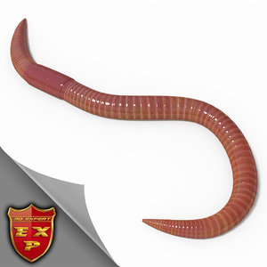 earthworm 3d max