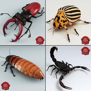 insects v3 3d model