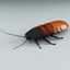 insects v6 3d model