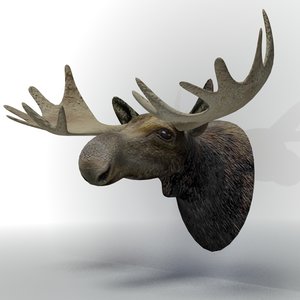 3ds max moose head