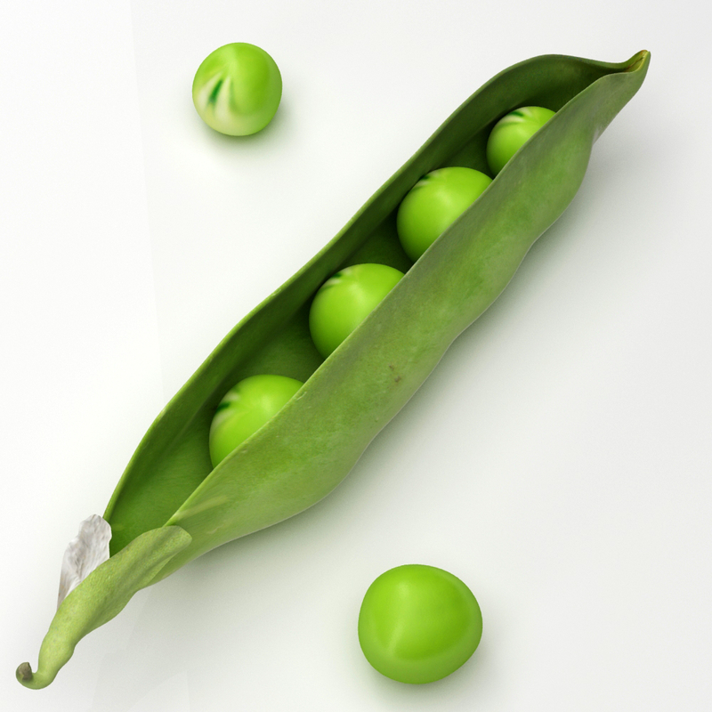 3d model peas