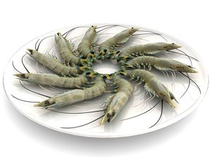shrimp max