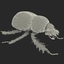 max dung beetle