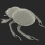 max dung beetle
