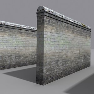 3d model of weathered wall coz080504025