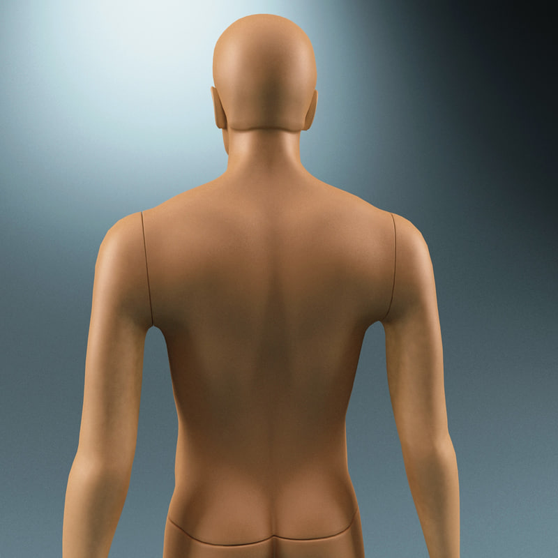 男模特v23d模型
