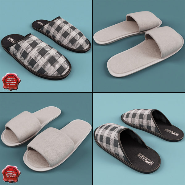 max slippers for men