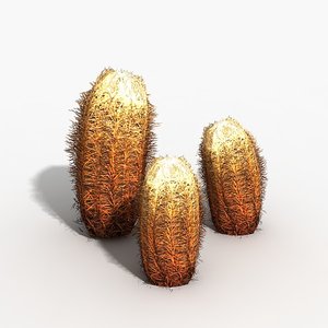 barrel cactus 3d max