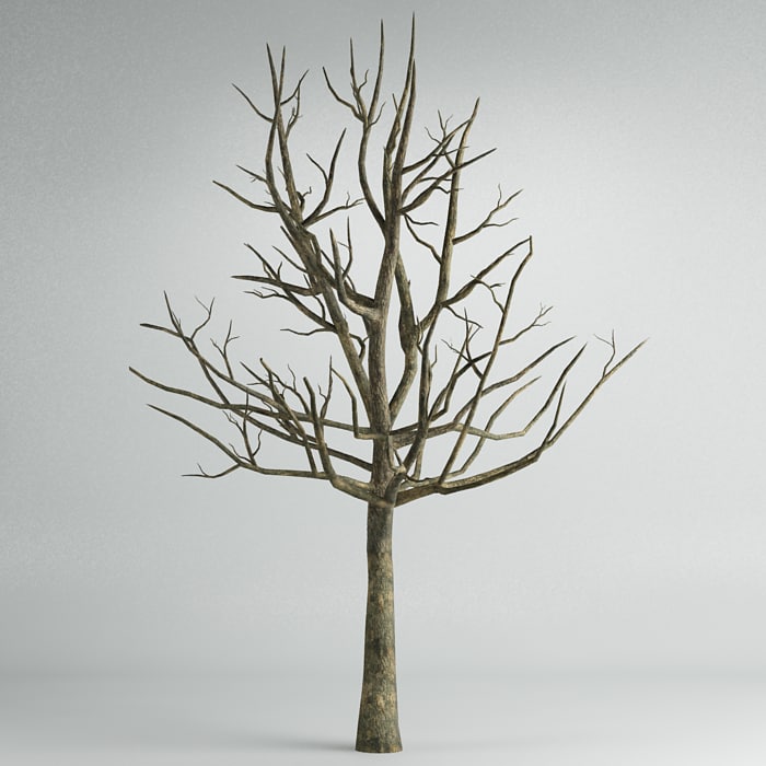 tree 3d model