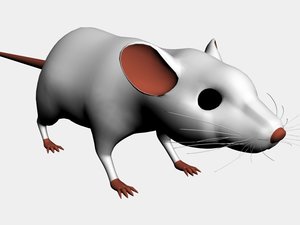realistic mouse 3d model