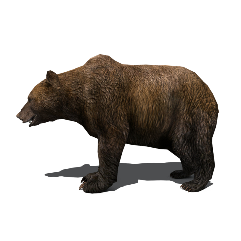 3d grizzly bear