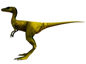 compsognathus dinosaur raptor 3d obj