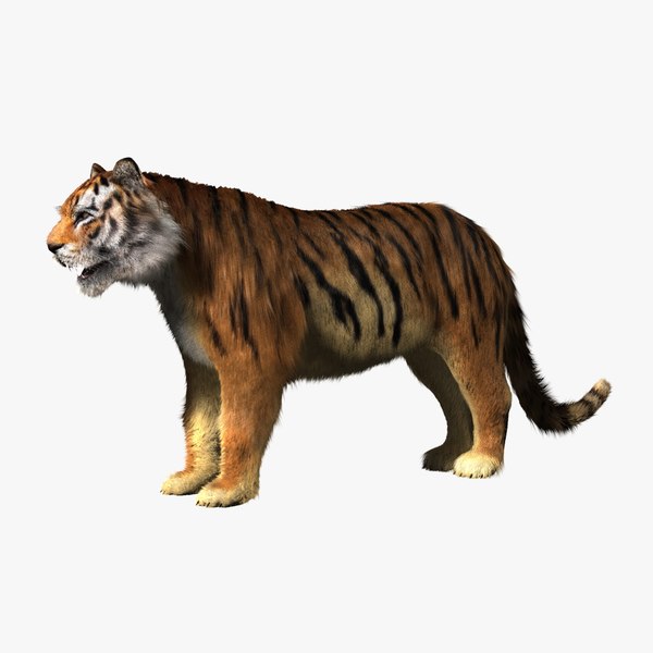 3D модель тигр - TurboSquid 634250