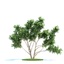 3d archmodels vol 58 trees model