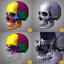 3d model human skull bones 4