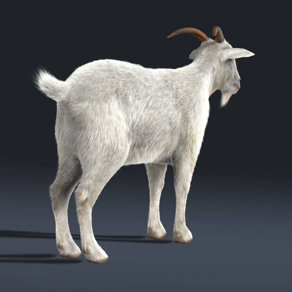 goats fur 3d obj