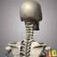 human skeletons 2 1 3ds