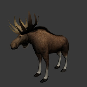 3d model of moose