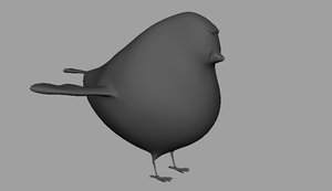 bird modeled ma