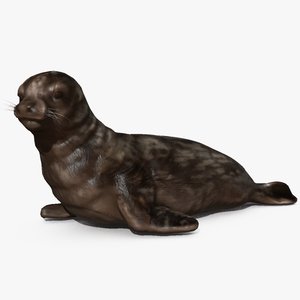 weddell seal max