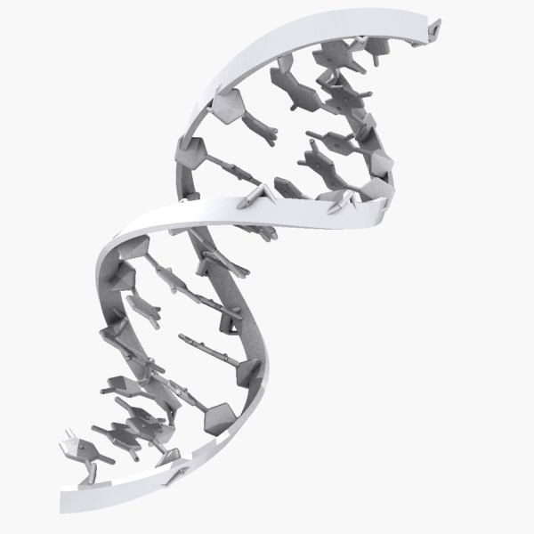 3d dna