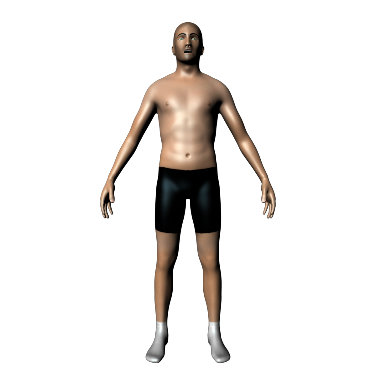 free ma model human body