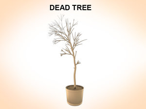 maya dead tree