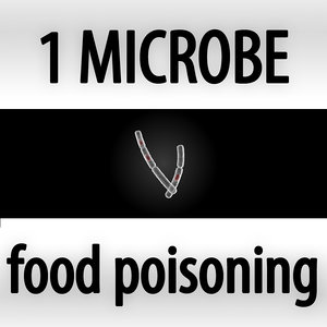 microbes micro organisms max