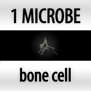 microbes bacteria cells 3d max