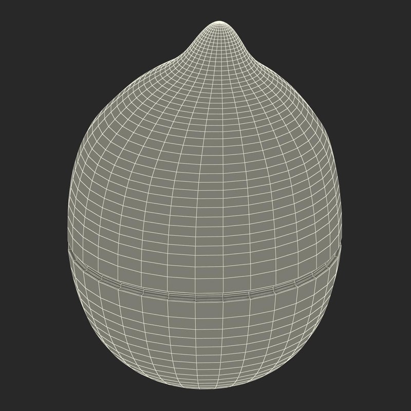 kitchen timer lemon 3d max