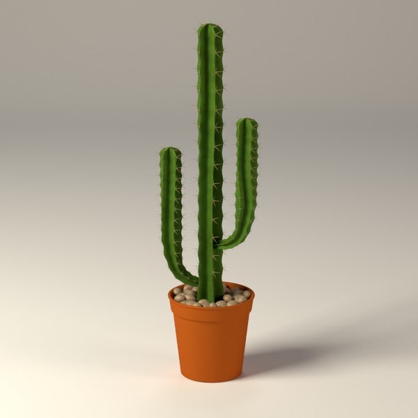  cactus  pot  3d obj