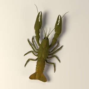 fish crayfish cray 3ds
