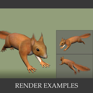 squirrel rodent 3d 3ds