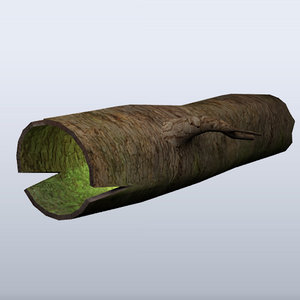 3d big log