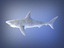 shark 3d max