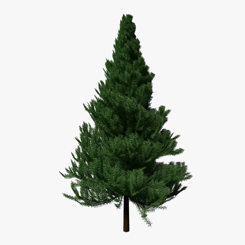 3d Pine Tree Model