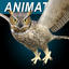 3ds max great horned owl flying
