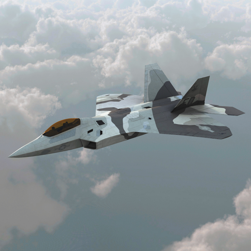 realistic f-22 raptor rigged 3d model