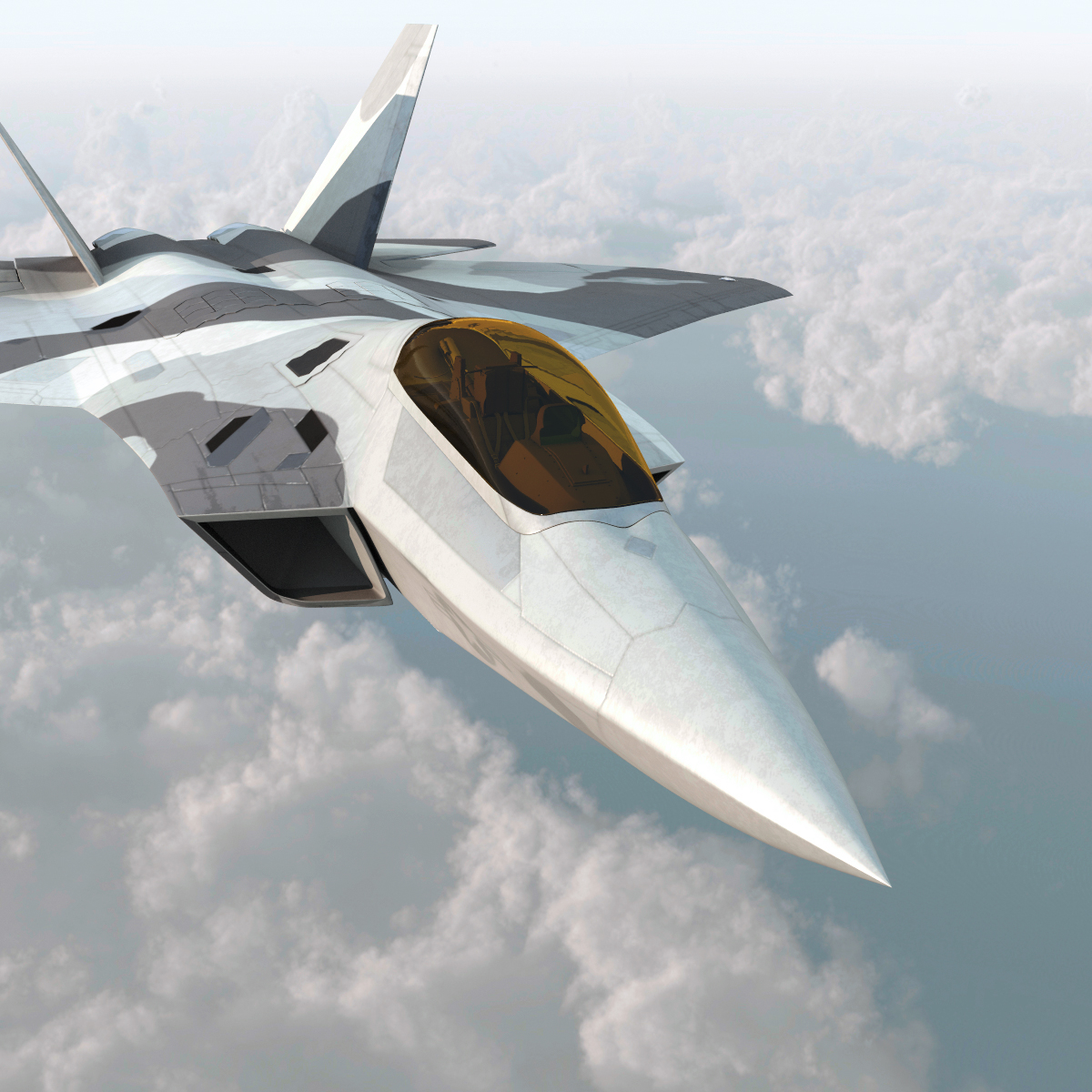 realistic f-22 raptor rigged 3d model