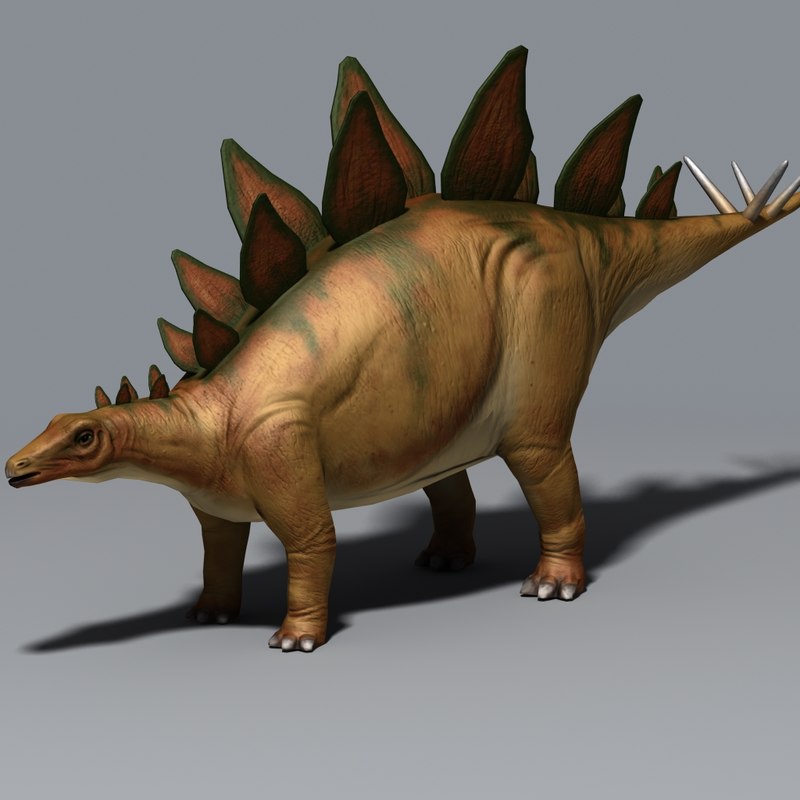 stegosaurus in 3d
