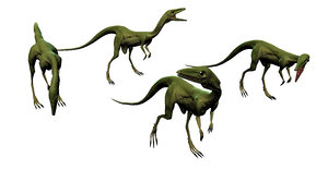 compsognathus compy dinosaur 3d model